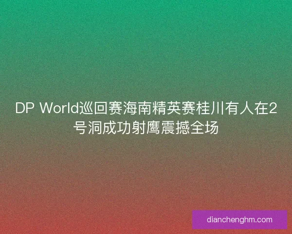 DP World巡回赛海南精英赛桂川有人在2号洞成功射鹰震撼全场