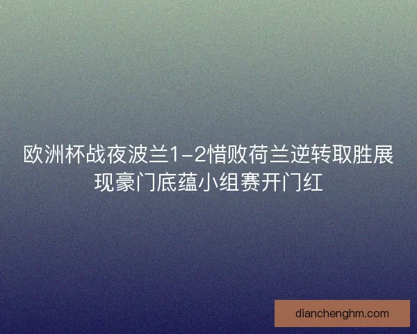 欧洲杯战夜波兰1-2惜败荷兰逆转取胜展现豪门底蕴小组赛开门红